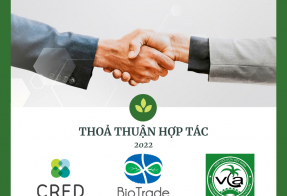 Thỏa thuận hợp tác với Hiệp hội dừa Việt Nam
