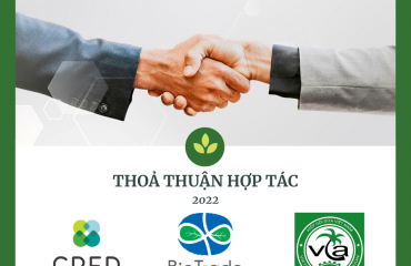Cooperation with Vietnam coconut association