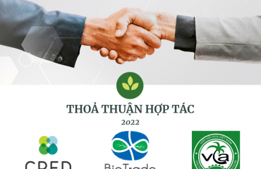 Thỏa thuận hợp tác với Hiệp hội Dừa Việt Nam