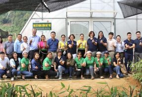 Australian Ambassador’s visit to Son La- A great honor for Bamboo shoot project